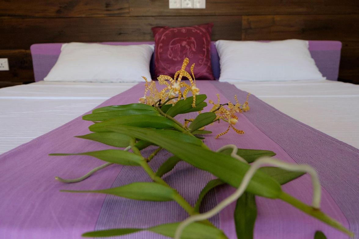 Sanda Eliya Resort 벤토타 외부 사진