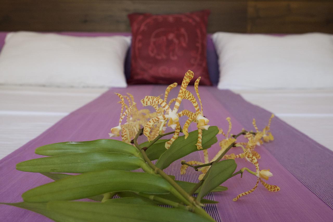 Sanda Eliya Resort 벤토타 외부 사진